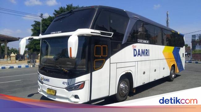 Promo Tiket Damri 10% untuk Arus Balik Lebaran 2025, Ini Rute dan Syaratnya