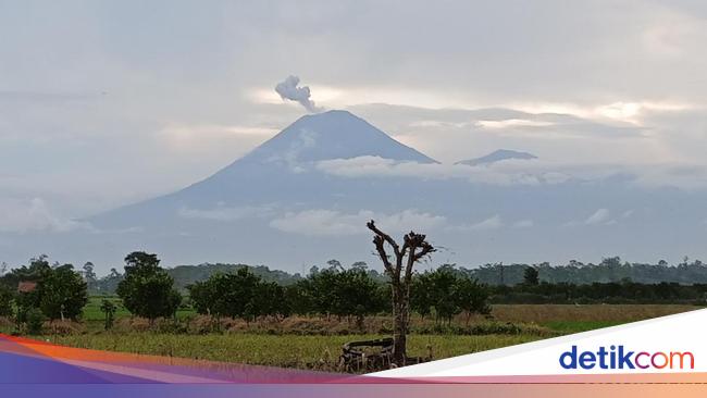 Gunung Semeru Erupsi 2 Kali Pagi Ini, Tinggi Abu Vulkanik 800 Meter