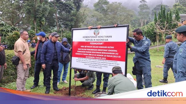 Pemilik Vila di Lahan Hutan Bogor Terancam 10 Tahun Penjara-Denda Rp 5 M