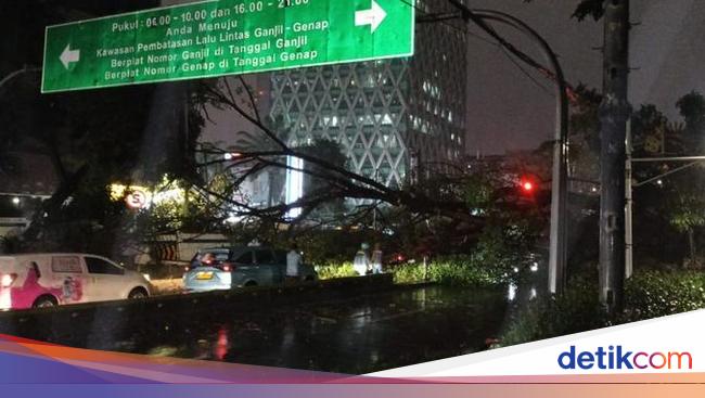 Pohon Tumbang di Jl Kebon Sirih Jakpus Lalin Tersendat